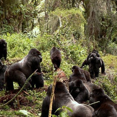 Queen Elizabeth National Park